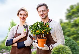 Проект «под ключ» где можно заказать по низкой цене  в Новокузнецке