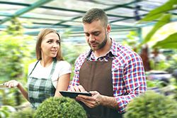 Дендроплан - верное планирование территории и решения этой задачи на уровне  в Новокузнецке