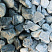 Kamenclub.ru: Щебень галтованный зеленый (змеевик) фр. 50-100 мм.  купить в Новокузнецке галтовка мраморная зеленый, салатовый мрамор 12 500 руб/т   фото КАМЕНЬ КЛУБ