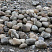 Kamenclub.ru: Речной валун (Ассорти) фр.100-300 мм.  купить в Новокузнецке галечник серый, темно-серый, светло-серый речная галька крупных размеров 4200 руб/т   фото КАМЕНЬ КЛУБ