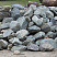 Kamenclub.ru: Гранит скальник (серо-зеленый) фр. 100-500 мм.  купить в Новокузнецке гранит зеленый, серый, салатовый крупный ландшафтный валун 6 000 руб/т   фото КАМЕНЬ КЛУБ