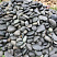 Kamenclub.ru: Темно-серый валунчик фр.100-300 мм.  купить в Новокузнецке крупный природный камень серый, темно-серый, светло-серый речная галька большого размера окатанная 4500 руб/т   фото КАМЕНЬ КЛУБ