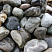 Kamenclub.ru: Речной валун Кабанчик фр.300-500 мм.  купить в Новокузнецке крупный природный камень галька серый, темно-серый речной валун галечник масштабный 7000 руб/т   фото КАМЕНЬ КЛУБ