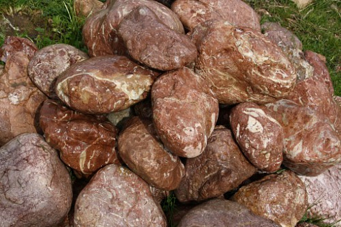 Kamenclub.ru: Розовый валунчик фр.100-300 мм.  купить в Новокузнецке крупный природный камень розовый, серый молочный красный речной галечник природный 7850 руб/т   фото КАМЕНЬ КЛУБ