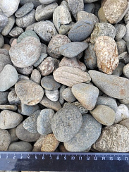 Kamenclub.ru: Галька речная окат (пестрая) фр. 20-40 мм. купить  в Новокузнецке галька речная пестрая, серая, серые оттенки галька речная окатанная округлая 5000 руб/т   фото КАМЕНЬ КЛУБ