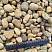 Kamenclub.ru: Галька речная окат рыжая фр. 20-40 мм. купить  в Новокузнецке галька речная окатанная рыжая желтая серая округлая речная галька 5000 руб/т   фото КАМЕНЬ КЛУБ