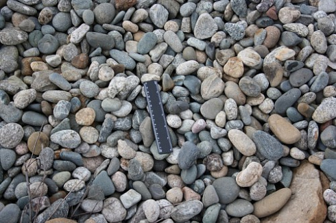 Kamenclub.ru: Галька речная окат (пестрая) фр. 20-40 мм. купить  в Новокузнецке галька речная пестрая, серая, серые оттенки галька речная окатанная округлая 5000 руб/т   фото КАМЕНЬ КЛУБ