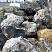 Kamenclub.ru: Черный гранит - кварцит фр. 100-500 мм.  купить в Новокузнецке мрамор гранит черный с белыми прожилками, серый, белый валун скальный колотый 7000 руб/т   фото КАМЕНЬ КЛУБ
