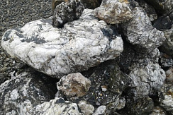 Kamenclub.ru: Черный гранит - кварцит фр. 100-500 мм.  купить в Новокузнецке мрамор гранит черный с белыми прожилками, серый, белый валун скальный колотый 7000 руб/т   фото КАМЕНЬ КЛУБ