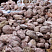 Kamenclub.ru: Розовый валунчик фр.100-300 мм.  купить в Новокузнецке крупный природный камень розовый, серый молочный красный речной галечник природный 7850 руб/т   фото КАМЕНЬ КЛУБ