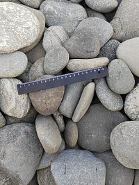 Kamenclub.ru: Галька речная плоская (серо-белая) фр. 70-120 мм. купить в Новокузнецке галька галечник речной серый, белый окатанная плоская  природная галька 9000 руб/т   фото КАМЕНЬ КЛУБ