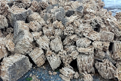 Kamenclub.ru: Крымский природный меотис фр. 100-500 мм.  купить в Новокузнецке меотис бежевый рыжий молочный желтый ракушечник 4 500 руб/т   фото КАМЕНЬ КЛУБ