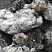 Kamenclub.ru: Черный гранит - кварцит фр. 100-500 мм.  купить в Новокузнецке мрамор гранит черный с белыми прожилками, серый, белый валун скальный колотый 7000 руб/т   фото КАМЕНЬ КЛУБ