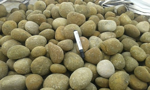 Kamenclub.ru: Песчаник ядра, фр. 100-300 мм  купить в Новокузнецке песчаник бежевый серый рыжий речная галька 5 000 руб/т   фото КАМЕНЬ КЛУБ