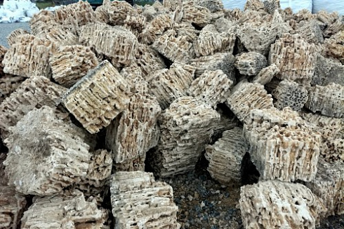 Kamenclub.ru: Крымский природный меотис фр. 100-500 мм.  купить в Новокузнецке меотис бежевый рыжий молочный желтый ракушечник 4 500 руб/т   фото КАМЕНЬ КЛУБ