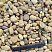 Kamenclub.ru: Галька речная окат рыжая фр. 20-40 мм. купить  в Новокузнецке галька речная окатанная рыжая желтая серая округлая речная галька 5000 руб/т   фото КАМЕНЬ КЛУБ