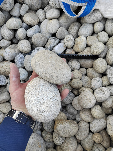 Kamenclub.ru: Галька речная окат (серо-белая) фр. 70-120 мм купить  в Новокузнецке галька галечник бело-серая, серо-белая, серая, белая речная природная галька  8000 руб/т   фото КАМЕНЬ КЛУБ