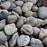 Kamenclub.ru: Темно-серый валунчик фр.100-300 мм.  купить в Новокузнецке крупный природный камень серый, темно-серый, светло-серый речная галька большого размера окатанная 4500 руб/т   фото КАМЕНЬ КЛУБ