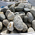 Kamenclub.ru: Речной валун (Ассорти) фр.100-300 мм.  купить в Новокузнецке галечник серый, темно-серый, светло-серый речная галька крупных размеров 4200 руб/т   фото КАМЕНЬ КЛУБ