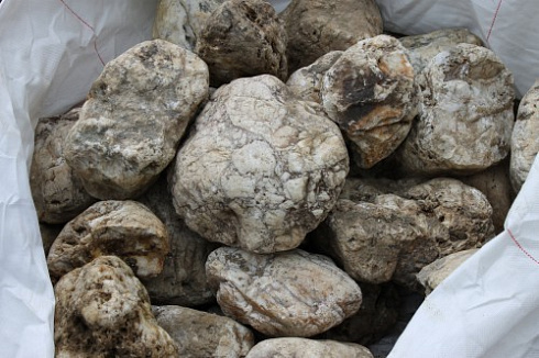 Kamenclub.ru: Кварцевый валунчик фр.100-300 мм.  купить в Новокузнецке кварц белый, бежевый молочный рыжий крупный природный камень галечник 7850 руб/т   фото КАМЕНЬ КЛУБ