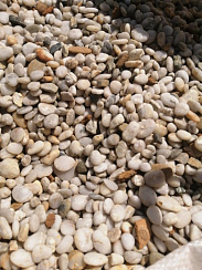 Галька Крымская Жемчужина фр. 10-20 мм.  купить в Новокузнецке фото Камень Клуб