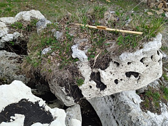 Kamenclub.ru: Выветренный известняк (степной) фр. 500-1500 мм.  купить в Новокузнецке    10000 руб/т   фото КАМЕНЬ КЛУБ