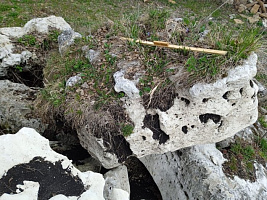 Kamenclub.ru: Выветренный известняк (степной) фр. 500-1500 мм.  купить в Новокузнецке    10000 руб/т   фото КАМЕНЬ КЛУБ