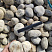 Kamenclub.ru: Галька речная окат (серо-белая) фр. 70-120 мм купить  в Новокузнецке галька галечник бело-серая, серо-белая, серая, белая речная природная галька  8000 руб/т   фото КАМЕНЬ КЛУБ