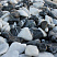 Kamenclub.ru: Мраморная крошка (щебень галтованный микс:: белый-черный) фр.20-40 мм  купить в Новокузнецке мрамор белый, черный мраморный галтованный щебень 15500 руб/т   фото КАМЕНЬ КЛУБ