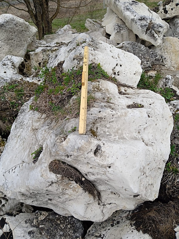 Kamenclub.ru: Выветренный известняк со мхом фр. 100-500 мм.  купить в Новокузнецке известняк серый белый зеленый валун известняковый крупный 10000 руб/т   фото КАМЕНЬ КЛУБ