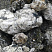 Kamenclub.ru: Черный гранит - кварцит фр. 100-500 мм.  купить в Новокузнецке мрамор гранит черный с белыми прожилками, серый, белый валун скальный колотый 7000 руб/т   фото КАМЕНЬ КЛУБ