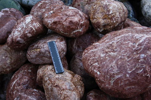 Kamenclub.ru: Розовый валунчик фр.100-300 мм.  купить в Новокузнецке крупный природный камень розовый, серый молочный красный речной галечник природный 7850 руб/т   фото КАМЕНЬ КЛУБ