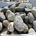 Kamenclub.ru: Речной валун (Ассорти) фр.100-300 мм.  купить в Новокузнецке галечник серый, темно-серый, светло-серый речная галька крупных размеров 4200 руб/т   фото КАМЕНЬ КЛУБ