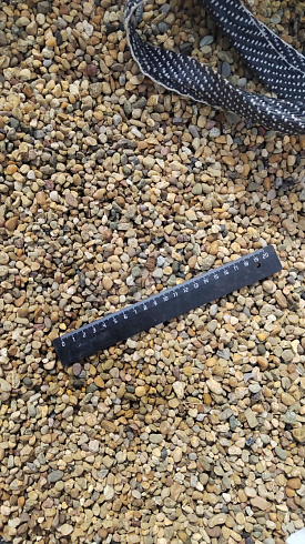 Kamenclub.ru: Галька окат (серо-желтая) фр.5-10 мм. купить  в Новокузнецке галька речная рыжий, желтый, рыжий, серо-желтый речная окатанная галька декоративная 5000 руб/т   фото КАМЕНЬ КЛУБ