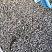 Kamenclub.ru: Галька речная окат (серая) фр.3-5 мм купить  в Новокузнецке галька речная серая бежевый темно-серый окатанный речной камень округлый 9500 руб/т   фото КАМЕНЬ КЛУБ