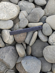 Kamenclub.ru: Галька речная плоская (ассорти) фр. 70-150 мм. купить в Новокузнецке галька галечник серый белый темно-серый синий светло-серый плоская природная галька  9000 руб/т   фото КАМЕНЬ КЛУБ