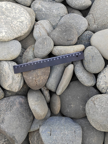 Kamenclub.ru: Галька речная плоская (серо-белая) фр. 70-120 мм. купить  в Новокузнецке галька галечник речной серый, белый окатанная плоская  природная галька 9000 руб/т   фото КАМЕНЬ КЛУБ