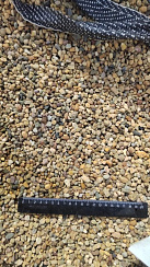 Kamenclub.ru: Галька окат (серо-желтая) фр.5-10 мм. купить  в Новокузнецке галька речная рыжий, желтый, рыжий, серо-желтый речная окатанная галька декоративная 5000 руб/т   фото КАМЕНЬ КЛУБ