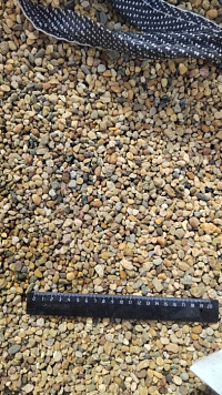 Kamenclub.ru: Галька окат (серо-желтая) фр.5-10 мм. купить  в Новокузнецке галька речная рыжий, желтый, рыжий, серо-желтый речная окатанная галька декоративная 5000 руб/т   фото КАМЕНЬ КЛУБ