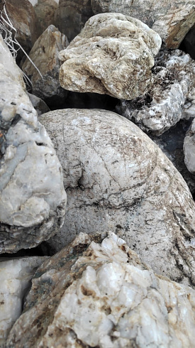 Kamenclub.ru: Кварцевый валунчик фр.100-300 мм.  купить в Новокузнецке кварц белый, бежевый молочный рыжий крупный природный камень галечник 7850 руб/т   фото КАМЕНЬ КЛУБ