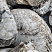 Kamenclub.ru: Кварцевый валунчик фр.100-300 мм.  купить в Новокузнецке кварц белый, бежевый молочный рыжий крупный природный камень галечник 7850 руб/т   фото КАМЕНЬ КЛУБ