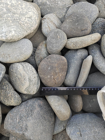 Kamenclub.ru: Галька речная плоская (ассорти) фр. 70-150 мм. купить  в Новокузнецке галька галечник серый белый темно-серый синий светло-серый плоская природная галька  9000 руб/т   фото КАМЕНЬ КЛУБ