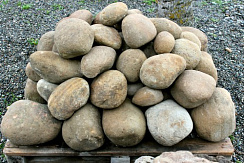 Kamenclub.ru: Песчаник ядра, фр. 100-300 мм  купить в Новокузнецке песчаник бежевый серый рыжий речная галька 5 000 руб/т   фото КАМЕНЬ КЛУБ