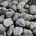 Kamenclub.ru: Речной валун (Ассорти) фр.100-300 мм.  купить в Новокузнецке галечник серый, темно-серый, светло-серый речная галька крупных размеров 4200 руб/т   фото КАМЕНЬ КЛУБ