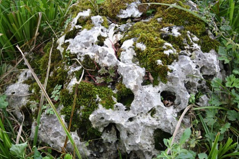 Kamenclub.ru: Выветренный известняк со мхом фр. 100-500 мм.  купить в Новокузнецке известняк серый белый зеленый валун известняковый крупный 10000 руб/т   фото КАМЕНЬ КЛУБ