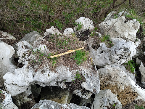 Kamenclub.ru: Выветренный известняк (степной) фр. 500-1500 мм.  купить в Новокузнецке    10000 руб/т   фото КАМЕНЬ КЛУБ