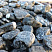 Kamenclub.ru: Щебень галтованный черный (мрамор) фр.20-40 мм.  купить в Новокузнецке мрамор черный с белыми прожилками мрамор окатанный округлый 15000 руб/т   фото КАМЕНЬ КЛУБ