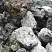 Kamenclub.ru: Черный гранит - кварцит фр. 100-500 мм.  купить в Новокузнецке мрамор гранит черный с белыми прожилками, серый, белый валун скальный колотый 7000 руб/т   фото КАМЕНЬ КЛУБ