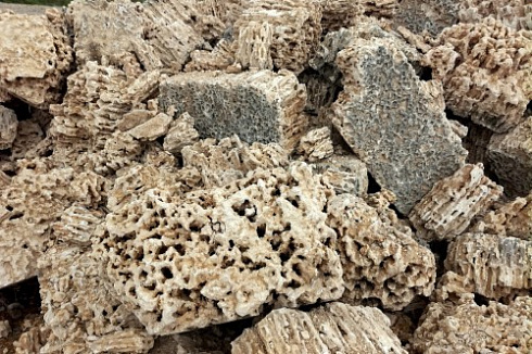 Kamenclub.ru: Крымский природный меотис фр. 100-500 мм.  купить в Новокузнецке меотис бежевый рыжий молочный желтый ракушечник 4 500 руб/т   фото КАМЕНЬ КЛУБ