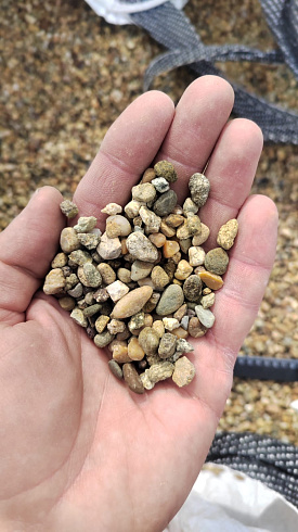 Kamenclub.ru: Галька окат (серо-желтая) фр.5-10 мм. купить  в Новокузнецке галька речная рыжий, желтый, рыжий, серо-желтый речная окатанная галька декоративная 5000 руб/т   фото КАМЕНЬ КЛУБ